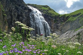 Beo_Adelboden_Natur_BlumenmitWasserfall.jpg