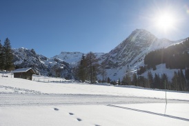 Beo_Adelboden_Winter.jpg