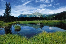 Beo_Gstaad_Landschaft_lauenensee.jpg