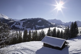 Beo_Gstaad_panorama.jpg