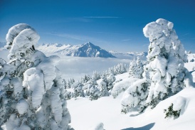 Beo_Interlaken.jpg