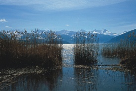 Beo_Interlaken_Landschaft_thun_bonstetten.jpg