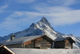 Beo_JungfrauRegion_Landschaft_Bussalp.jpg