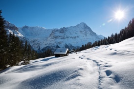 Beo_JungfrauRegion_Natur_Eigernordwand.jpg