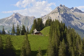 Beo_Kandertal_Landschaft_Allmenalp.jpg