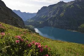 Beo_Kandertal_Landschaft_Oeschinensee_2.jpg