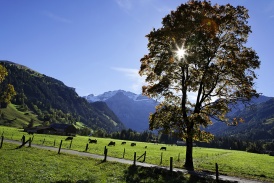 Beo_Lenk_Landschaft_Talabschluss.jpg