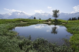 Beo_Lenk_Landschaft_Tuftseeli.jpg